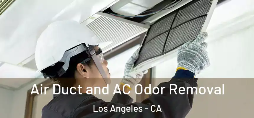 Air Duct and AC Odor Removal Los Angeles - CA