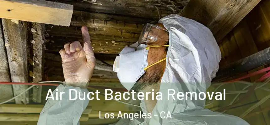 Air Duct Bacteria Removal Los Angeles - CA