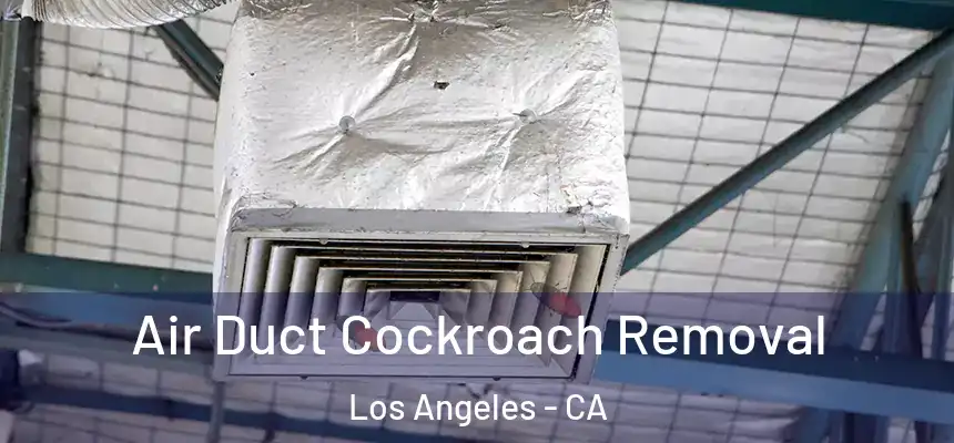  Air Duct Cockroach Removal Los Angeles - CA