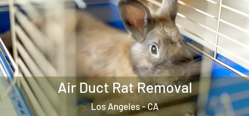  Air Duct Rat Removal Los Angeles - CA