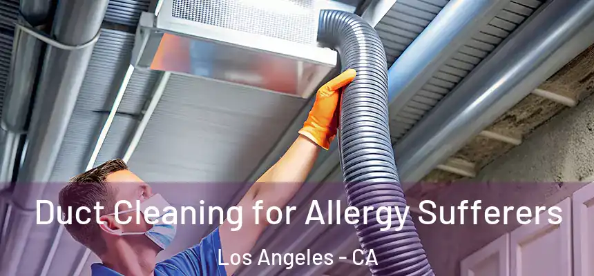  Duct Cleaning for Allergy Sufferers Los Angeles - CA