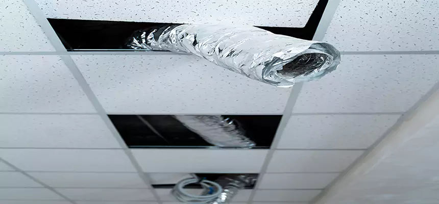 Affordable HVAC Sanitizing After Pest Removal in Los Angeles