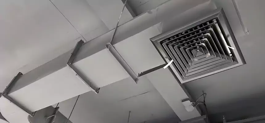 Restorative Allergy Relief Vent Cleaning – Coil, Blower & Housing Detail in Los Angeles