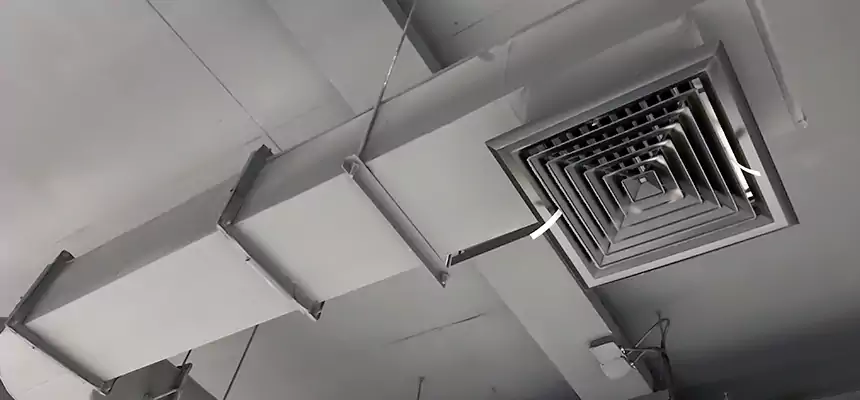 Our Pest Removal From Ducts Services in Los Angeles, CA