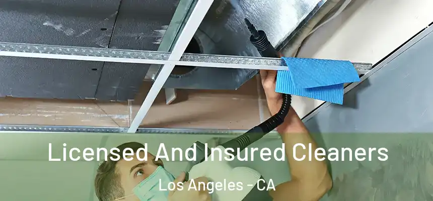  Licensed And Insured Cleaners Los Angeles - CA