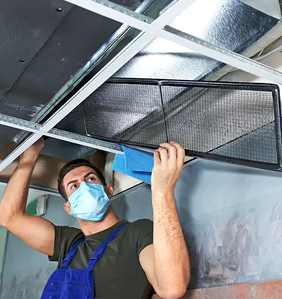Professional Air Duct Pollen Cleaning in Los Angeles, CA