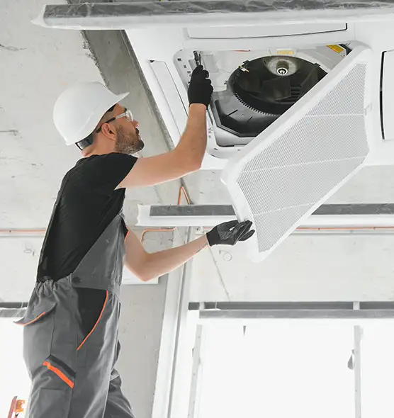 About Air Duct Rodent Removal in Los Angeles, CA