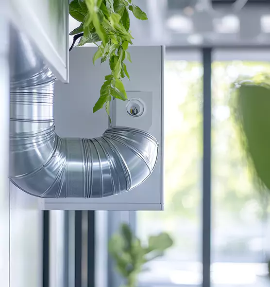 Professional Eco-Friendly Duct Cleaning Services in Los Angeles, CA