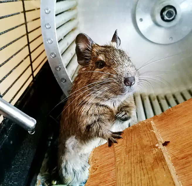 Why Homeowners & Businesses Trust Us Los Angeles, CA