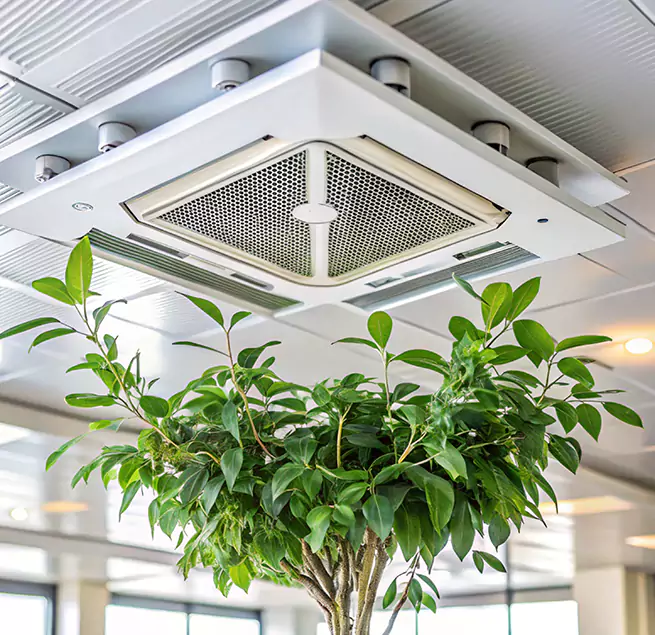 Why Homeowners & Businesses Trust Us in Los Angeles, CA?