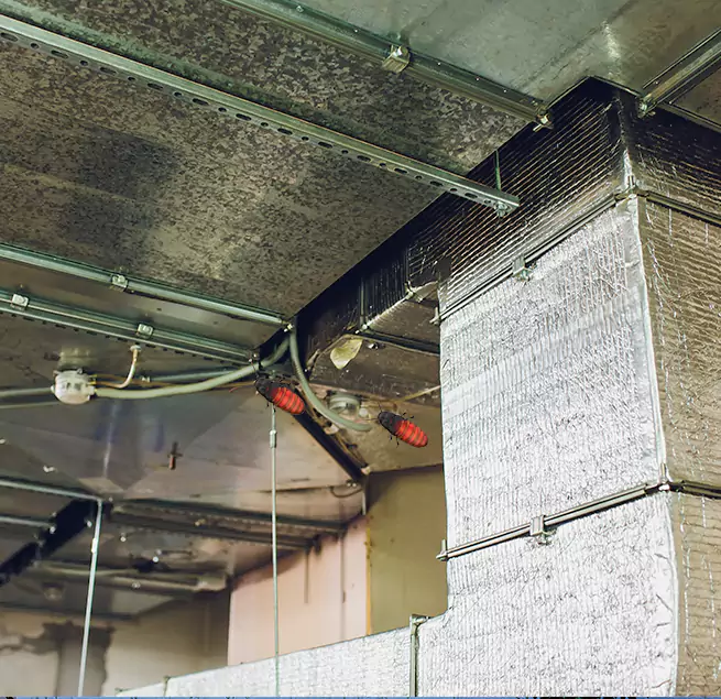 Why Homeowners & Businesses Trust Us Los Angeles, CA?