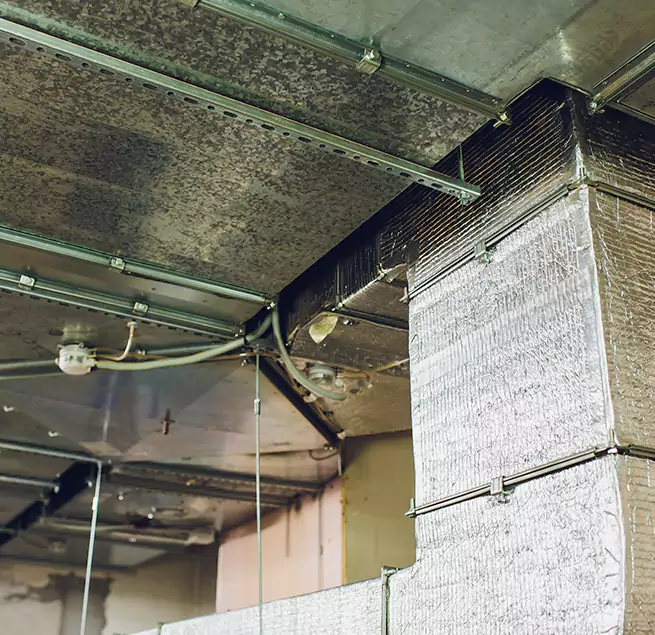 Why Homeowners & Businesses Trust Us in Los Angeles, CA?